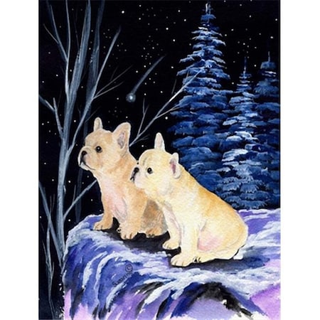 Carolines Treasures Carolines Treasures SS8395CHF Starry Night French Bulldog Canvas Flag - House Size; 28 x 40 in. SS8395CHF